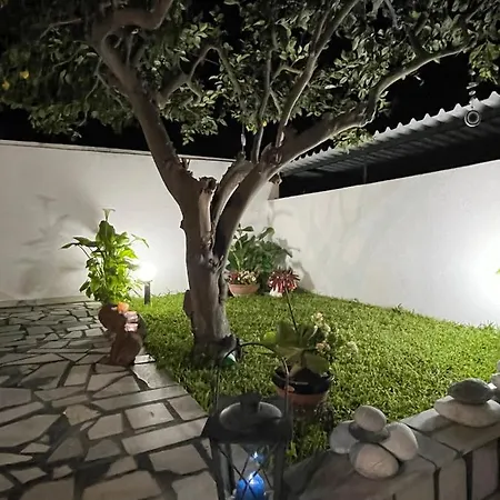 Sunny House *